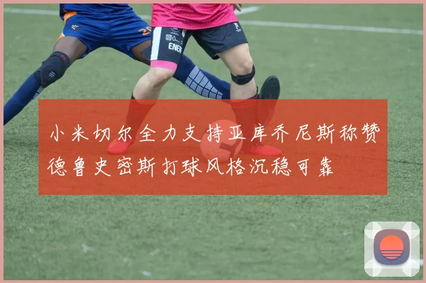 小米切尔全力支持亚库乔尼斯称赞德鲁史密斯打球风格沉稳可靠